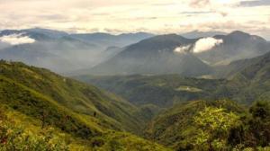 Bosque del Chocó